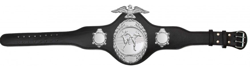 THAI BOXING CHAMPIONSHIP BELT-PLT288/S/TBOS-4 COLOURS THAI BOXING CHAMPIONSHIP BELT-PLT288/S/TBOS-4 COLOURS